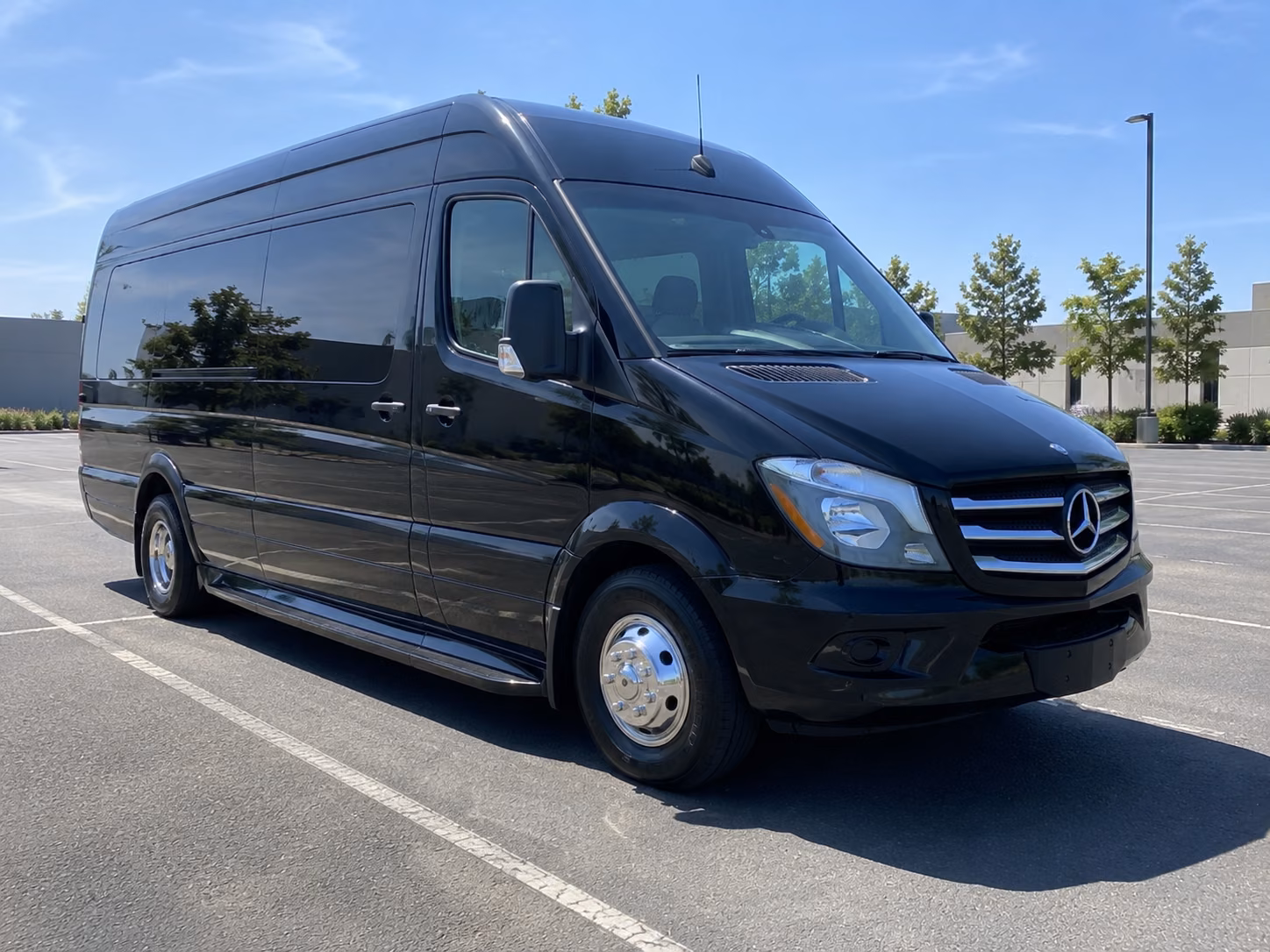 kid and tween birthday sprinter van rentals in modesto